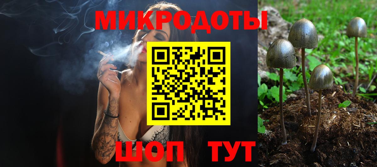 Псилоцибиновые грибы мицелий  Вход с VPN  Галлюциногенные грибы мицелий  Тихвин 